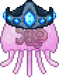 File:Queen Jellyfish.png