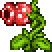 File:Corpse Weed.png