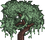 Yew Tree (top).png