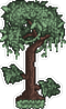 Yew Tree.png