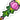 Blooming Wand.png