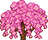 Sakura Tree (top).png